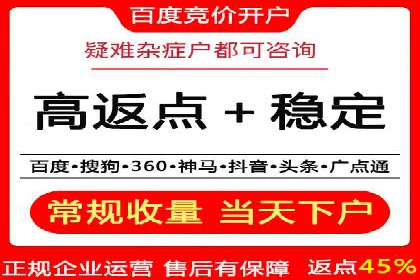 百度竞价排名策略优化：某公司广告投放效果翻倍的秘诀